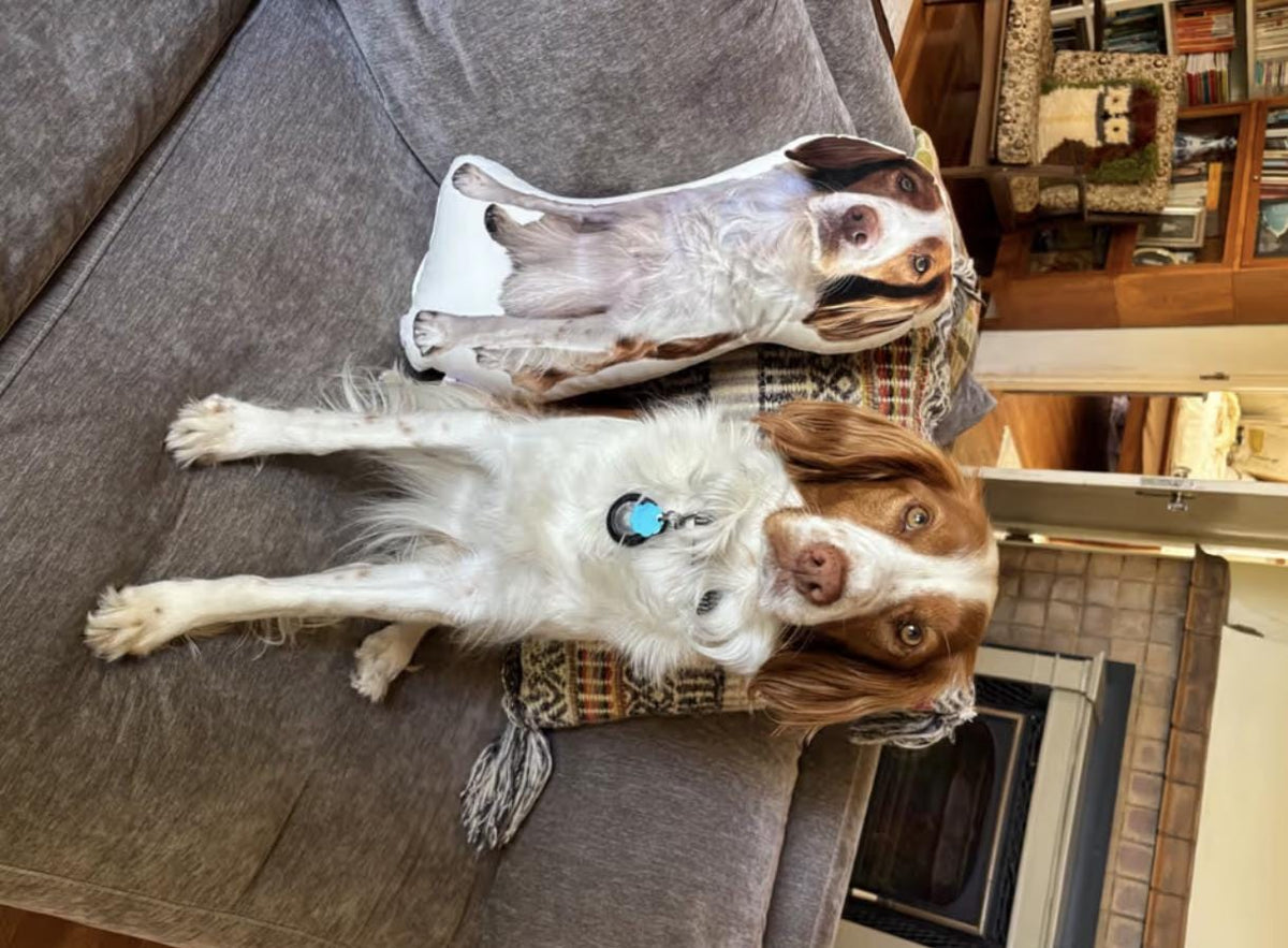Custom Pet Photo Shaped Pillow – personalization example or guide