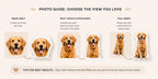 Custom Pet Photo Shaped Pillow – personalization example or guide